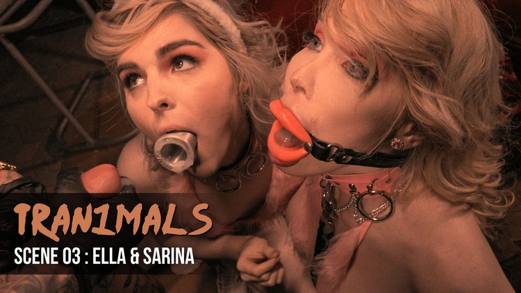 TS Ella + TS Sarina + Stud = Threesome , Scene #03_main_thumbnail