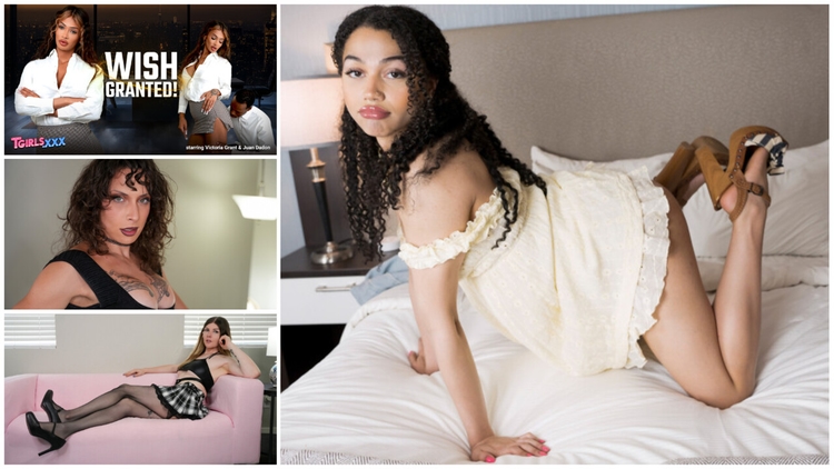 TGIRLS XXX - Compilation Updates 25th to 29th Aug 25_main_thumbnail