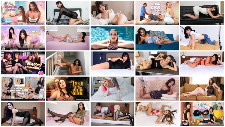 Weekly Round-Up Compilation 15th to 19th of Sept 2025_main_thumbnail