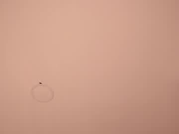 Kaia Brown😋 live cam