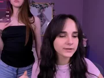 a little mouse live cam