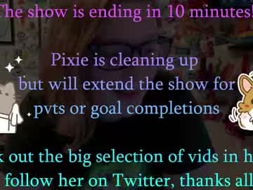 Pixie, Pix or Pickle live cam