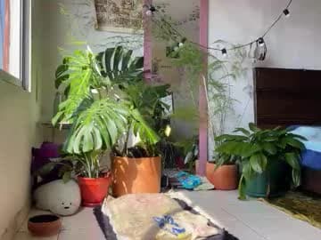 ⋅˚₊‧ ୨ Valentin  ୧ ‧₊˚ ⋅ live cam