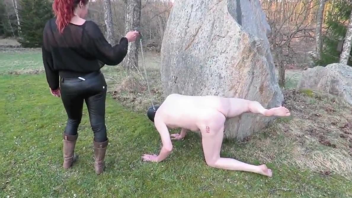 taking the dog for a walk_main_thumbnail