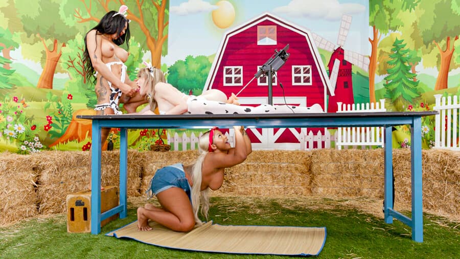 Shemales Izzy Wilde and Eva Maxim bang chubby ebony milkmaid_main_thumbnail