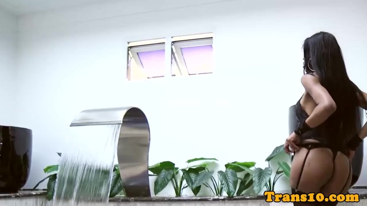 Rimmed latina tgirl railed in round ass_main_thumbnail