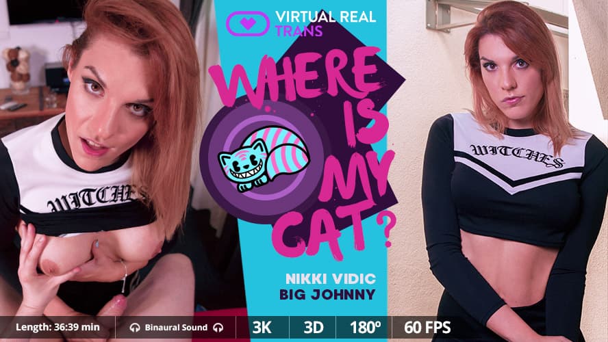 Where is my cat?_main_thumbnail