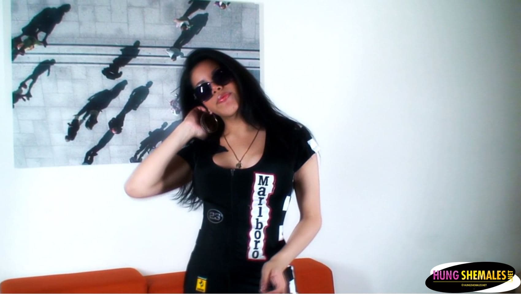 Wanking cock on the sofa - HungShemales_main_thumbnail