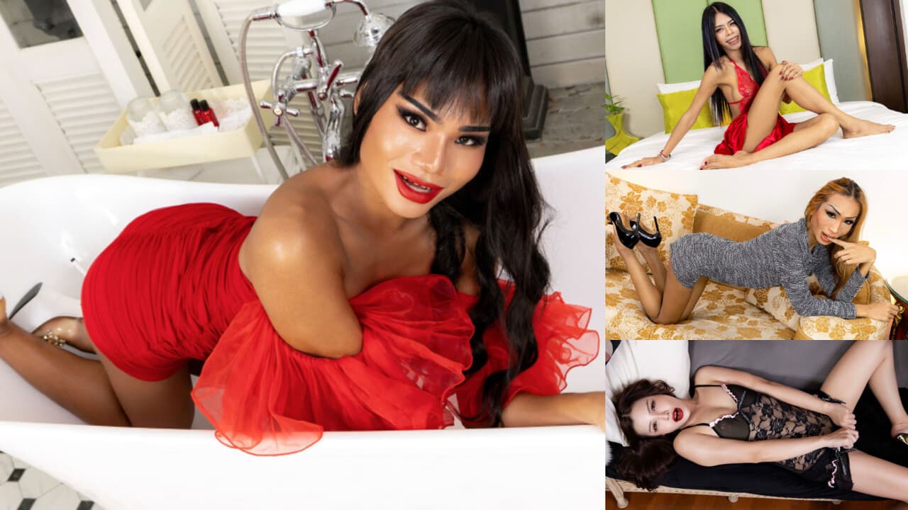 ASIANTGIRL - Compilation Updates 10th to 14th Nov 25_main_thumbnail